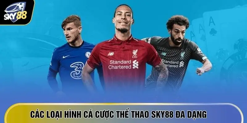 Các loại hình cá cược thể thao SKY88 đa dạng 
