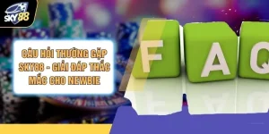 Câu Hỏi Thường Gặp SKY88 - Giải Đáp Thắc Mắc Cho Newbie