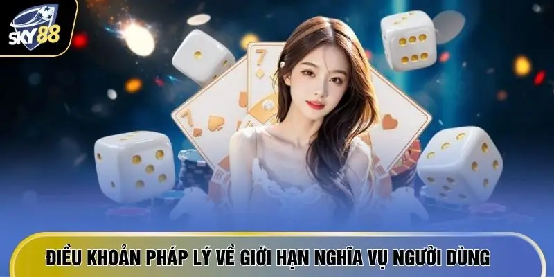 Điều khoản pháp lý về giới hạn nghĩa vụ người dùng