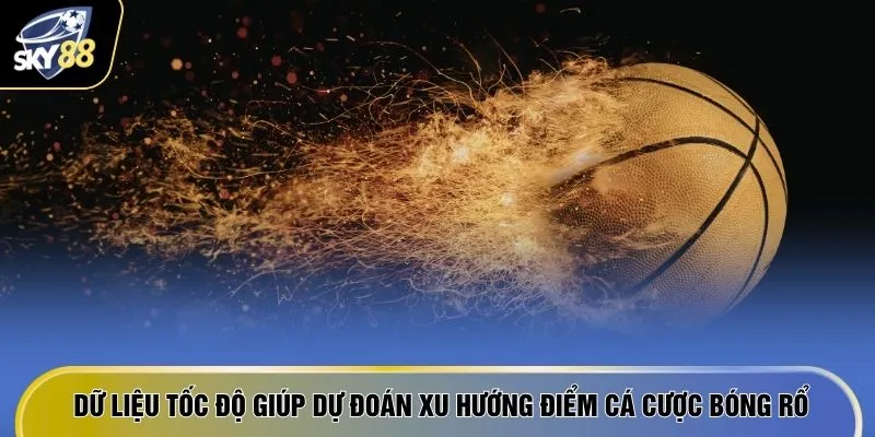 Dữ liệu tốc độ giúp dự đoán xu hướng điểm cá cược bóng rổ