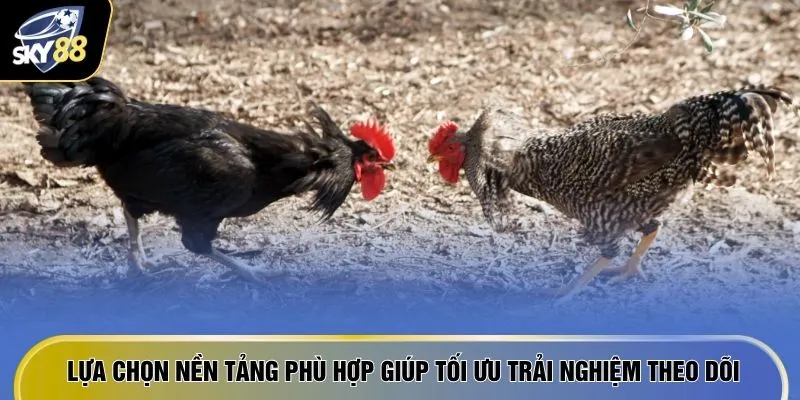 Lựa chọn nền tảng phù hợp giúp tối ưu trải nghiệm theo dõi