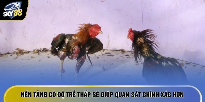 Nền tảng có độ trễ thấp sẽ giúp quan sát chính xác hơn